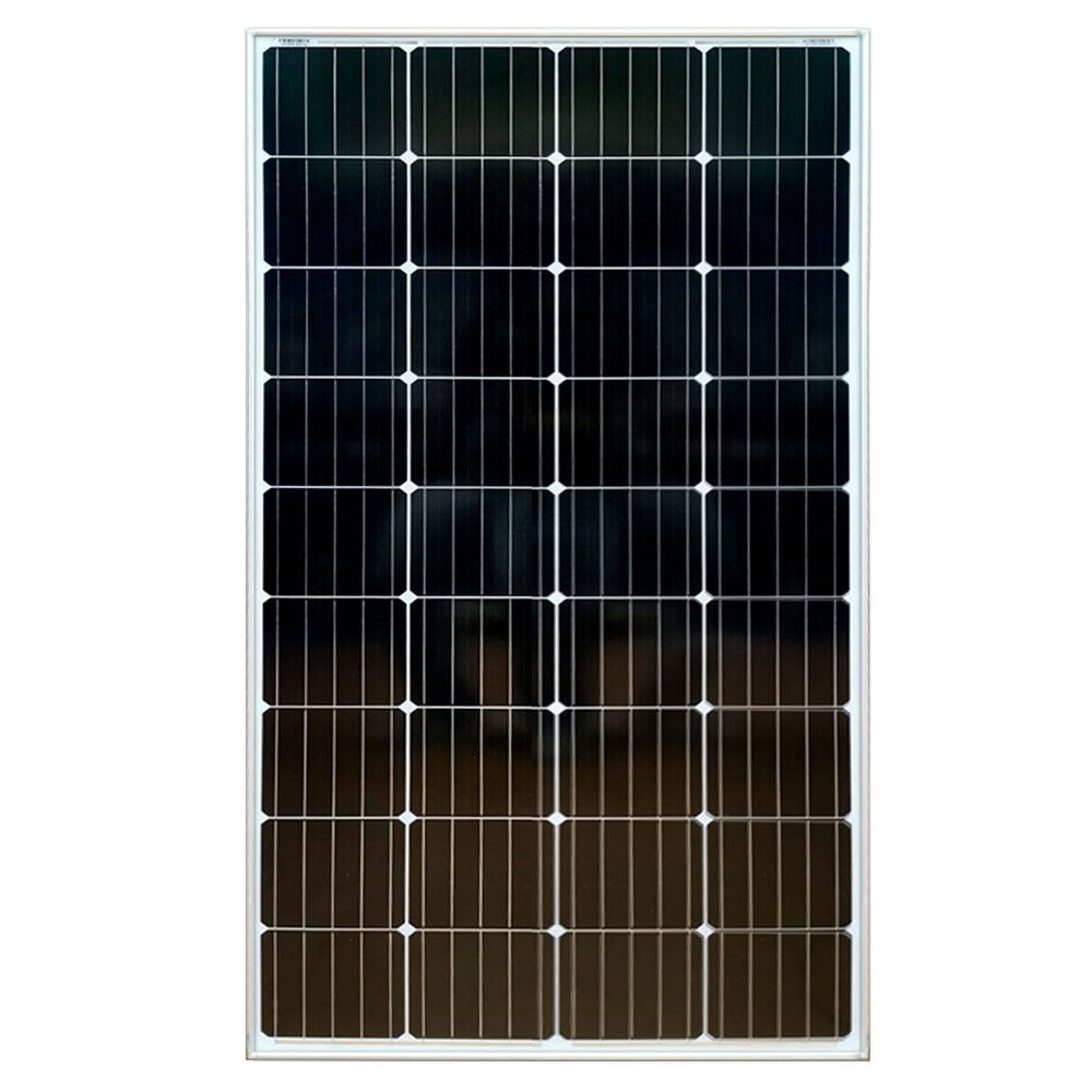 100W MONO.jpg